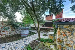 House Bongo - Image 4