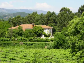Casa da Tojeira - Image 4