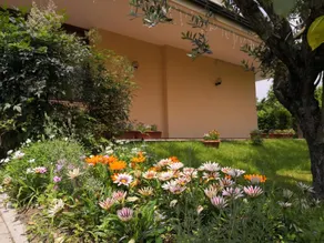 B&B D'Avino - Image 4