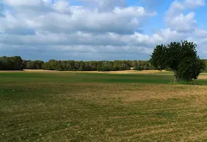 Agroturismo Ses Arenes - Image 3