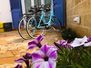 Villa Teresa - Image 4
