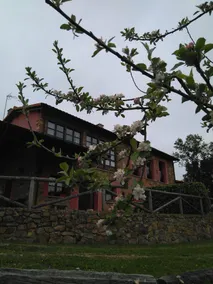 Apartamentos La Cantera - Image 3