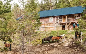 Savalen Hestesenter - Image 3