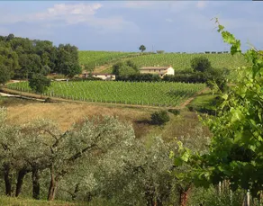 Agriturismo Gli Olmi - Image 5