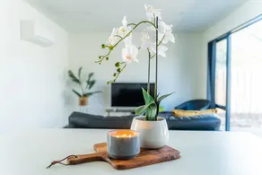 Punchbowl Executive Apartments - Image 2