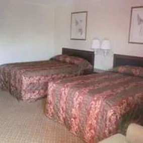 Wedgewood Motor Inn - Image 4