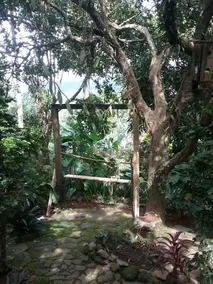 Tony & Aldona's Retreat - Image 5