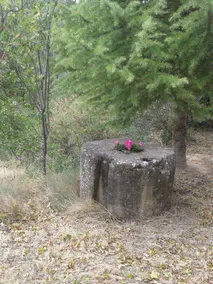 Ardetxal - Image 5
