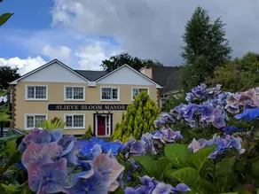 Slieve Bloom Manor Eco B&B - Image 2