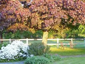 Domaine de l'Hôtel au Franc - Image 3
