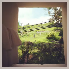 Round House - Image 4