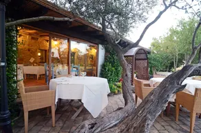Jaddhu Country Resort - Image 2