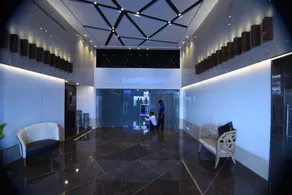 The Grace - Image 4
