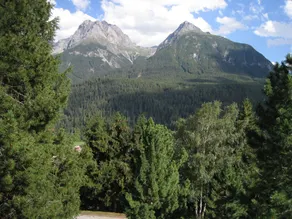 Chasa Diala - Image 3