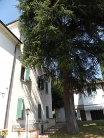 Casa Luppia - Image 3