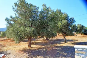 Moutsouna Beach II - Image 3