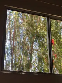 Hotel Caiman - Image 3