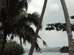 Arunalu Villa - Image 5