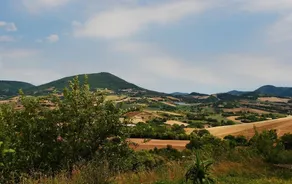 B&B La Cerasa - Image 5