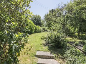 Balmore - Image 2