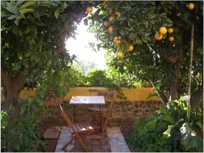 House in La Oratava Tenerife 101357 by MO Rentals - Image 5