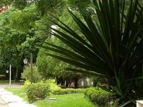 Vila Chalé - Image 4