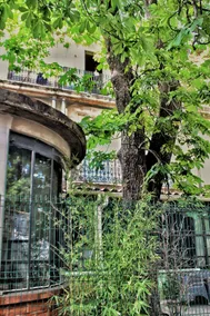 La Dolce Vita Studio Arceaux - Image 3