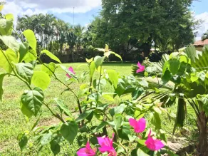 Hacienda Kaua - Image 2