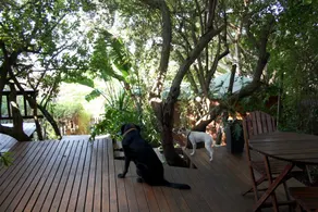 Zen Guesthouse - Image 4