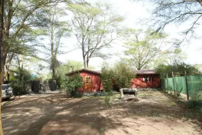 Kikopey Beach Camp - Image 5