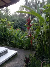 Karma House Ubud - Image 2