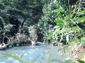 Forest Glen - Image 4