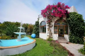 Olive Farm Guesthouse - Image 3