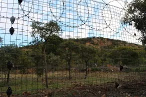 Mount Vista Guest House - Image 3