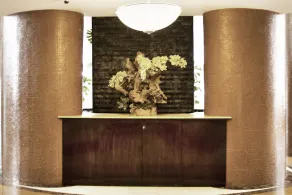 PRIVATE OCEAN CONDOS AT TRUMP SUNNY ISLES - Image 5