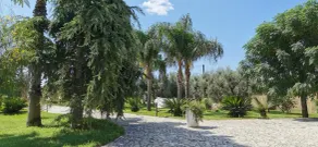 Affittacamere Paduli Piani - Image 5