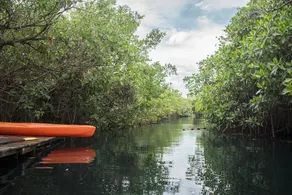 Maya Cabanas & Cenote Tulum - Image 3