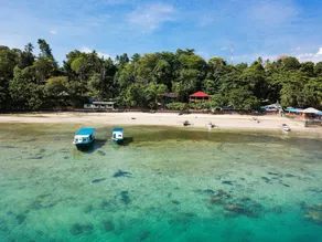Froggies Bunaken - Image 4