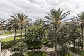 Reunion Resort By Orlando Fun Rentals - Image 4