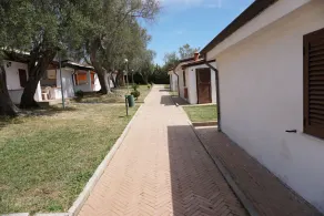 Cilento Dreams Village - Image 4
