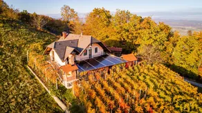 Vineyard Cottage Bregac - Image 3