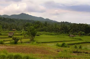 Puri Bagus Manggis - Image 3