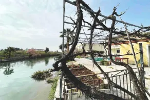 Riverside Villa 8 Persons With Access to the sea - Image 2