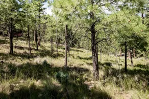 Adobe Mountain Views - Image 3