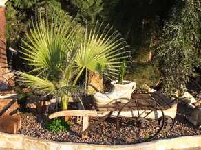 Complejo Rural Villa Campillo - Image 5