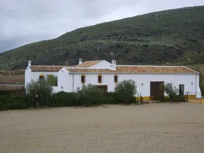 Cortijo El Puntal De Teba - Image 5