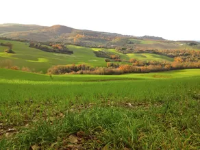 Il Chiesino Bed And Breakfast - Image 3