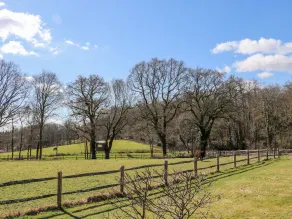 Woodmancote Lodge - Image 3