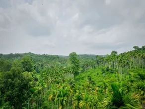 Wayanadia Resort Hotel - Image 3