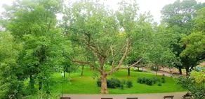 Studio at Sofia - Image 5